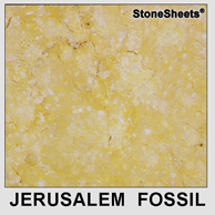 Jerusalem Fossil